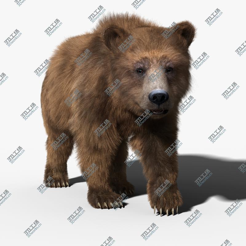 images/goods_img/202105073/Brown Bear(FUR)(RIGGED)/3.jpg